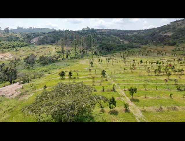11HA FARM FOR SALE IN NELSPRUIT RURAL